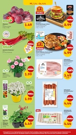 Stauden im Penny Prospekt in Borken Aktueller Penny Prospekt mit Stauden, "Wer günstig will, muss Penny.", Seite 34