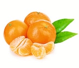 Mandarinen im E xpress Prospekt Mandarinen von EDEKA GENUSSMOMENTE im aktuellen E xpress Prospekt für 1,99 €