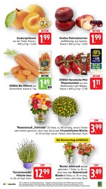 Deko im EDEKA Prospekt in Bad Kreuznach Aktueller EDEKA Prospekt mit Deko, "Aktuelle Angebote", Seite 10