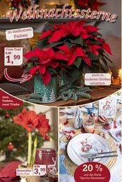 Weihnachtsdekoration im Garten-Center Nordharz GmbH & Co. KG Prospekt in Hannover Aktueller Garten-Center Nordharz GmbH & Co. KG Prospekt mit Weihnachtsdekoration, "HO HO HO", Seite 4
