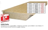 OSB-Platte im aktuellen bauSpezi Prospekt