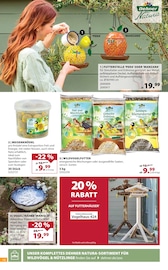 Ähnliche Angebote wie Gartenzwerg im Prospekt "Jetzt wird's Dehner!" auf Seite 12 von Dehner Garten-Center in Buchholz