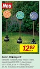 Solar-Dekospieß für 12,99 € bei toom Baumarkt im Angebot Solar-Dekospieß im aktuellen toom Baumarkt Prospekt