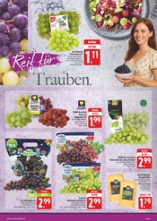 Mixer im EDEKA Prospekt in Gera Aktueller EDEKA Prospekt mit Mixer, "Wir lieben Lebensmittel!", Seite 9