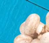 Champignons von  im aktuellen EDEKA Prospekt für 1,79 €