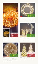 Folie Angebot & Preis im aktuellen Pflanzen Kölle Prospekt Folie Angebot im aktuellen Pflanzen Kölle Prospekt auf Seite 4