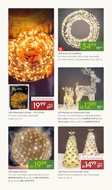 Stern Angebote im Prospekt "ADVENT ADVENT" von Pflanzen Kölle Stern Angebote im Prospekt "ADVENT ADVENT" von Pflanzen Kölle auf Seite 4