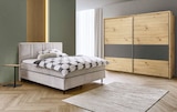 Boxspringbett im Angebot bei XXXLutz in Wolfenbüttel Boxspringbett Angebote von Welnova, home 24 bei XXXLutz Wolfenbüttel für 79,00 €