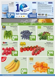 Aktueller E xpress Prospekt mit Obst, "Wir lieben Lebensmittel.", Seite 3