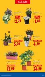 Offre Jardinière dans le catalogue Lidl du moment à la page 29