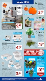 Baum im ALDI SÜD Prospekt Baum im ALDI SÜD Prospekt "Gutes für Alle." auf Seite 10