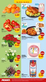 Aktueller Penny Prospekt mit Blumen, "Wer günstig will, muss Penny.", Seite 34