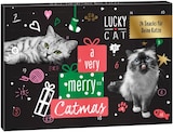 Adventskalender im Angebot bei Penny in Ravensburg Adventskalender Angebote von Lucky Cat bei Penny Ravensburg für 4,99 €