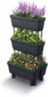Pflanzregal 4er im Angebot bei Netto Marken-Discount in Pinneberg Pflanzregal 4er Angebote bei Netto Marken-Discount Pinneberg für 9,99 €