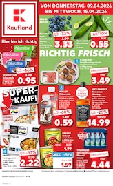 Kaufland Supermarkt Prospekt der aktuellen Woche mit 58 Seiten, gültig von 09.04.2026 bis 15.04.2026, in Stadtlengsfeld und Umgebung Aktueller Kaufland Supermarkt Prospekt in Stadtlengsfeld und Umgebung, "Aktuelle Angebote" mit 58 Seiten, 09.04.2026 - 15.04.2026