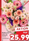 Kaufland Rastatt Prospekt mit  im Angebot für 25,99 €