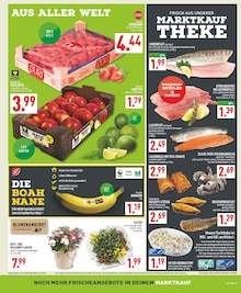 Bananen im Marktkauf Prospekt "Aktuelle Angebote" mit 24 Seiten (Bielefeld)