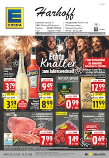 EDEKA Prospekt "Aktuelle Angebote" mit  Seiten (Kamen)