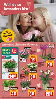 Hortensie im REWE Prospekt "Dein Markt" mit 34 Seiten (Mülheim (Ruhr))