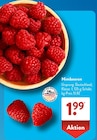Himbeeren bei ALDI SÜD im Prospekt "" für 1,99 €