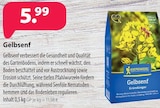 Gelbsenf Angebote von Kiepenkerl bei Kiebitzmarkt Wesel für 5,99 €
