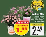 Aktuelles Nelken Mix Peach Party Angebot bei E center in Augsburg ab 1,99 €