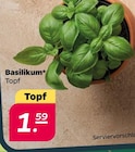 Netto mit dem Scottie Malchow Prospekt mit  im Angebot für 1,59 €