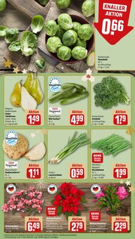 Pflanzen im aktuellen REWE Prospekt (Nürnberg) Pflanzen im REWE Prospekt "Dein Markt" mit 20 Seiten (Nürnberg)