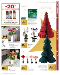 Offre Plante D'intérieur dans le catalogue Carrefour du moment à la page 79