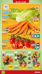 Salat Angebot im aktuellen Penny Prospekt auf Seite 3