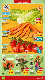 Tomaten im Penny Prospekt "Wer günstig will, muss Penny." mit 41 Seiten (Leipzig)