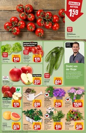 Dekoration im REWE Prospekt in Laatzen Aktueller REWE Prospekt mit Dekoration, "Dein Markt", Seite 9