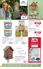 Aktueller Dehner Garten-Center Prospekt mit Deko, "Aktuelle Angebote", Seite 12