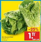 Mini-Romana Salat für 1,11 € bei Netto Marken-Discount im Angebot Mini-Romana Salat im aktuellen Netto Marken-Discount Prospekt