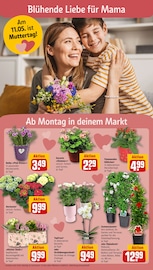Ähnliche Zugluftstopper Angebote im Prospekt "Dein Markt" von REWE in Ulm Ähnliche Angebote wie Zugluftstopper im Prospekt "Dein Markt" auf Seite 6 von REWE in Ulm