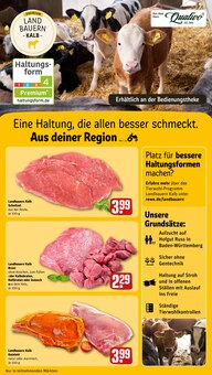 Rollbraten im aktuellen REWE Prospekt (Pforzheim) Rollbraten im REWE Prospekt "Dein Markt" mit 34 Seiten (Pforzheim)
