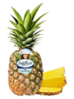 Kaufland Theisseil - Costa-rican. Ananas Angebot im Prospekt Costa-rican. Ananas bei Kaufland im Theisseil Prospekt für 1,49 €