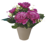 Pot de chrysanthèmes en promo chez Bazarland Vandœuvre-lès-Nancy à 6,49 €
