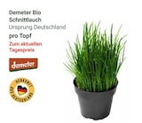 GLOBUS Koblenz - Bio Schnittlauch Angebot im Prospekt Bio Schnittlauch bei GLOBUS im Koblenz Prospekt für