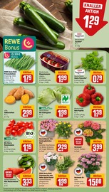 Ähnliche Tulpen Angebote im Prospekt "Dein Markt" von REWE in Viersen Ähnliche Angebote wie Tulpen im Prospekt "Dein Markt" auf Seite 7 von REWE in Viersen