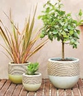 Promo Pot oeuf ø 20 cm à 10,99 € dans le catalogue Super U à Briey
