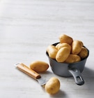 Promo Pomme de terre de consommation à chair ferme à 1,99 € dans le catalogue U Express à Carpentras
