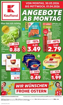 Erdbeeren im Kaufland Prospekt "KNÜLLER" mit 68 Seiten (Bochum)