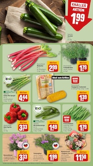 Mais im REWE Prospekt "Dein Markt" mit 18 Seiten (Frankfurt (Main))