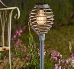 Solar Gartenfackel Lumina / Solar Gartenfackel Cool Flame im aktuellen Pflanzen Kölle Prospekt