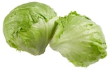 Bio Eisbergsalat Angebote von REWE Bio bei REWE Sankt Augustin für 1,59 €