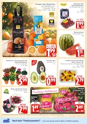 Aktueller Marktkauf Prospekt mit Äpfel, "Top Angebote", Seite 4