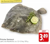 Frischer Steinbutt von  im aktuellen E center Prospekt für 3,49 €