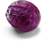 Blaukraut von  im aktuellen Netto Marken-Discount Prospekt für 0,99 €