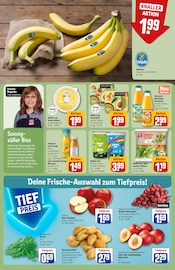 Äpfel im REWE Prospekt in Gießen Aktueller REWE Prospekt mit Äpfel, "Dein Markt", Seite 6